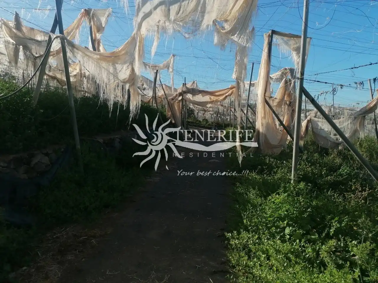 Terreno rústico en venta en TF-82, imagen 3