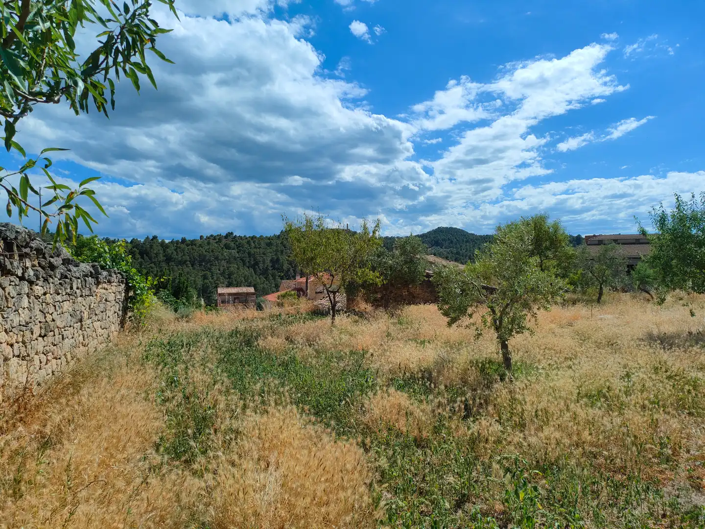 Terreni e lotti in vendita a Valdeltormo, imagen 4