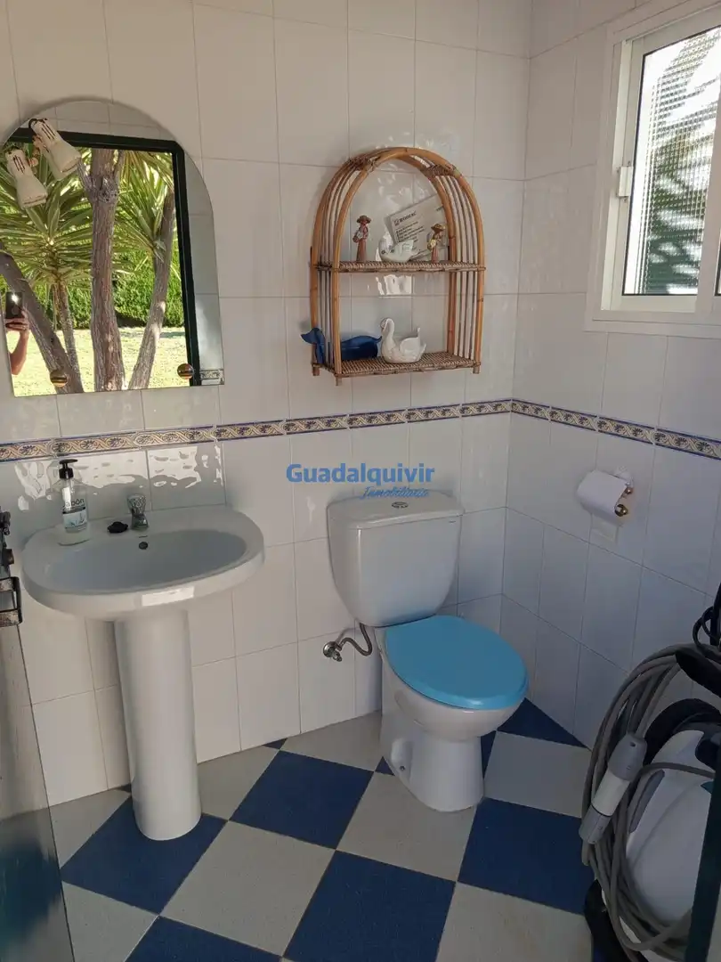 Chalet con piscina en venta en Cerros de Montequinto, imagen 40