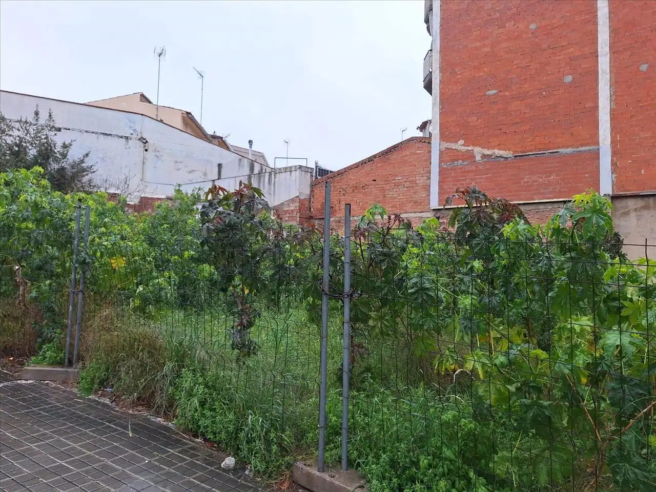 Terreno residencial en venta en PERE III, imagen 5