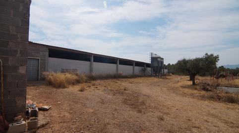 Photo 5 of Country house for sale in N/a, -1, Tivissa, Tarragona