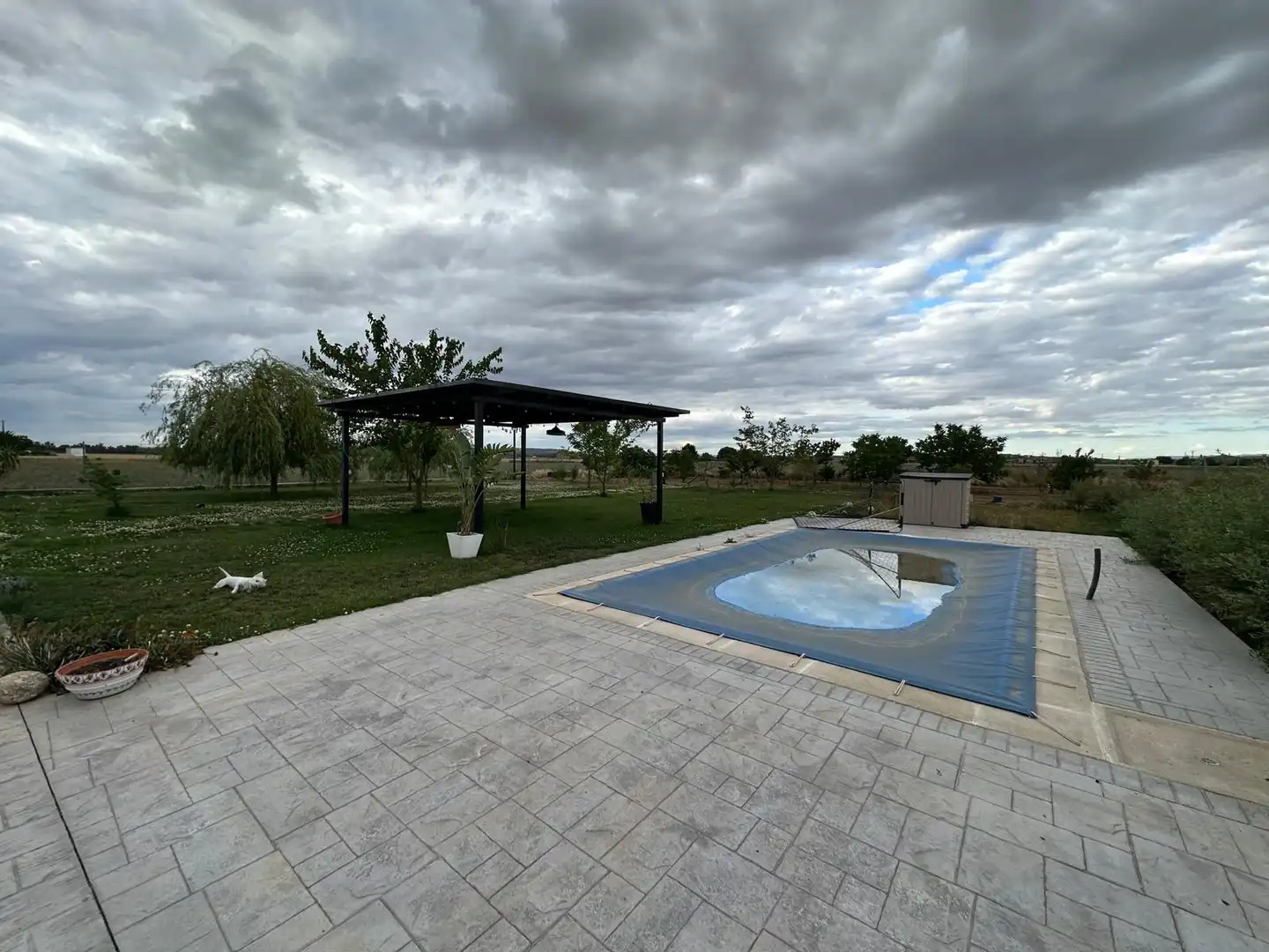 Piscina de Finca rústica en venta en Don Benito con Amueblado