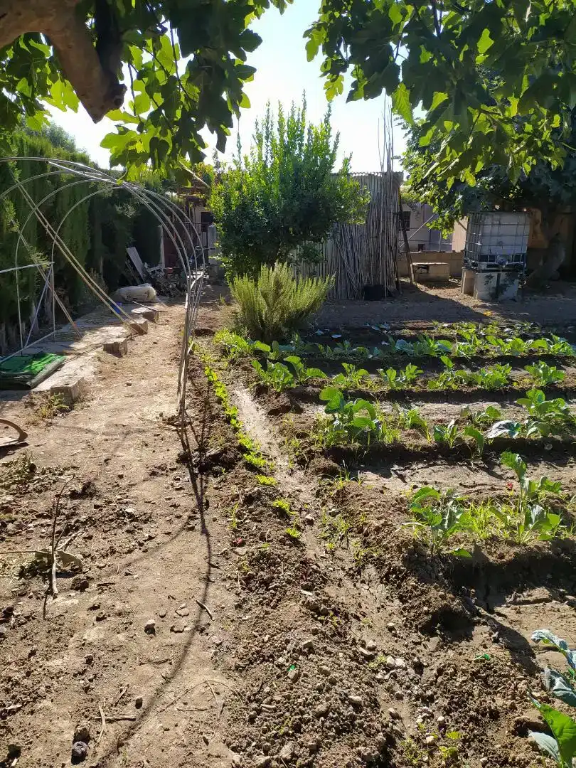 Jardí de Finca rústica en venda en  Granada Capital
