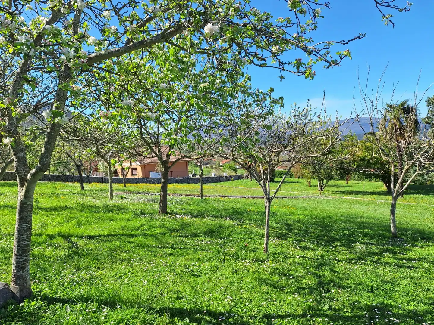 Casa o chalet en venta en Santa María, 6, Valle de Mena