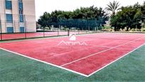 Vista exterior de Apartament en venda en Gandia amb Jardí privat, Terrassa i Piscina comunitària