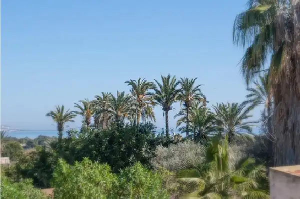 !CDATALocal Comercial con Vistas al Mar y Proyecto Aprobado para Vivienda en La Marina, imatge 2