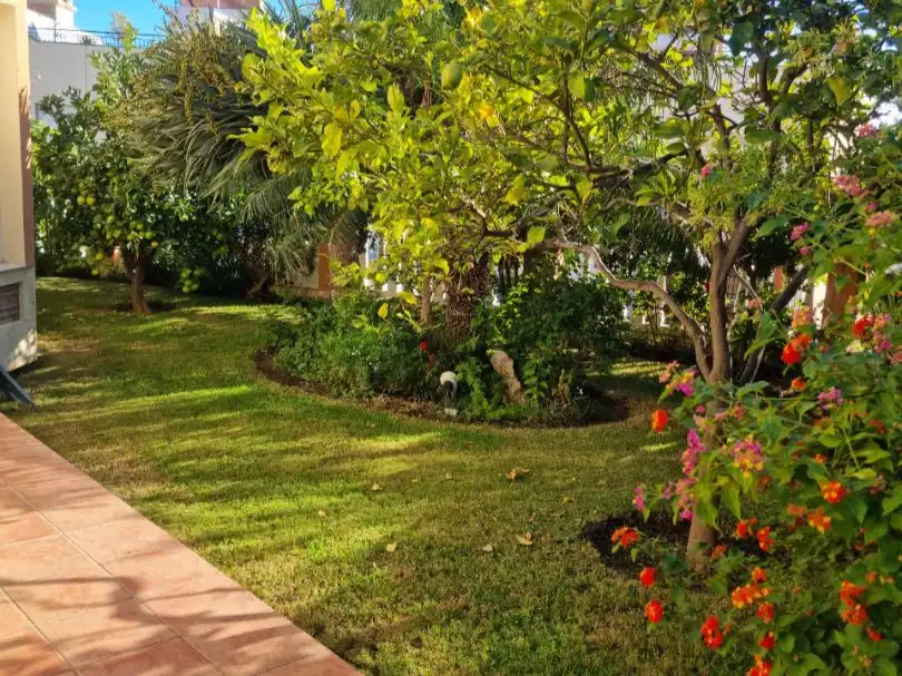 Xalet amb jardí en venda a Calle Afrodita 3, imagen 8