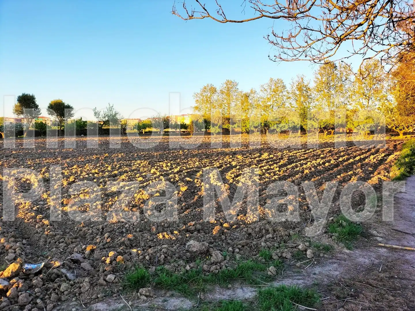 Finca rústica en venta en Villamayor