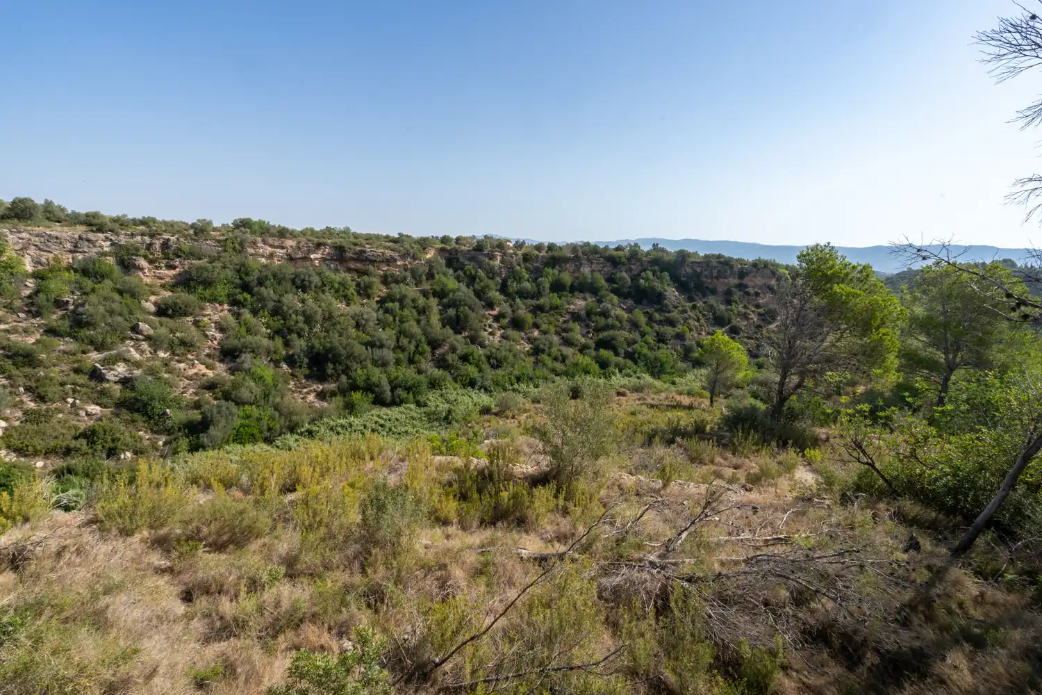 Rural land for sale in Vinallop, imagen 25