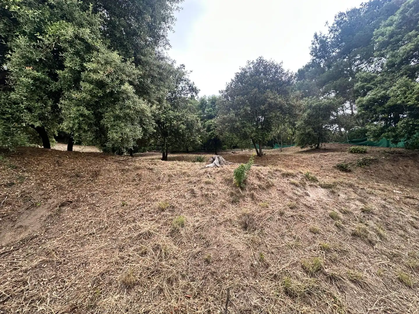 Lands and plots for sale in Caldes de Montbui, imagen 19