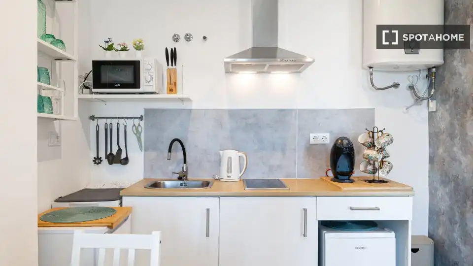 Kitchen of Apartments for share in Rincón de la Victoria  with Air Conditioner, Terrace and Furnished