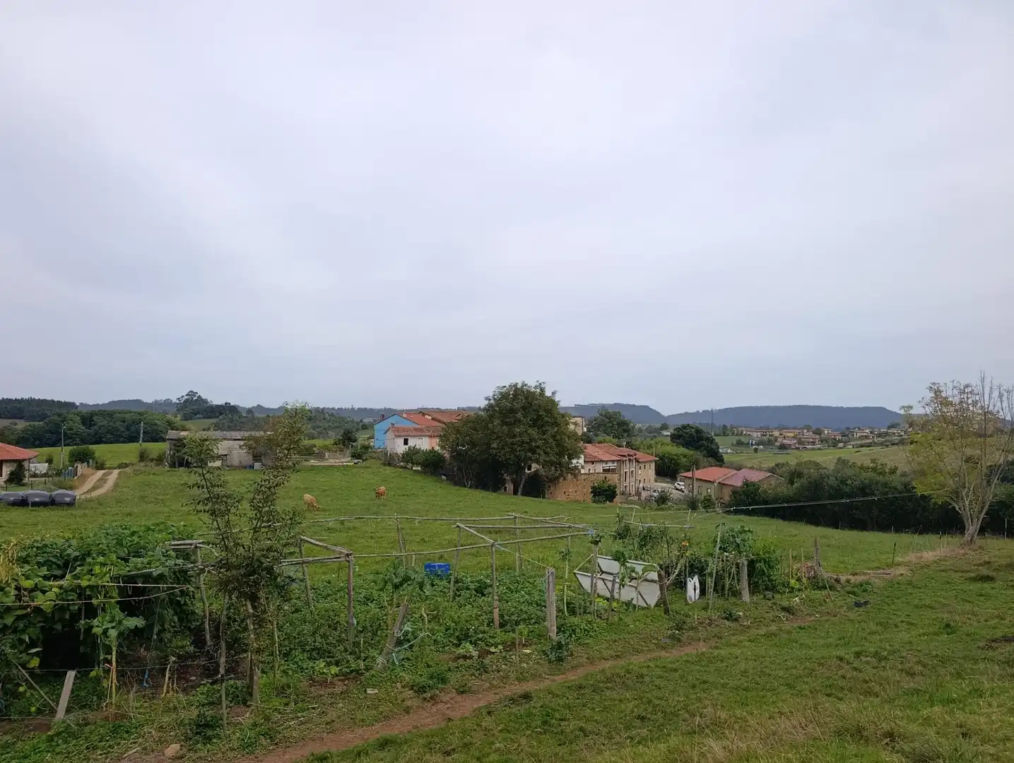 Rustikales Grundstück zum Verkauf in Carretera Piñera (Noriega) 0, imagen 8