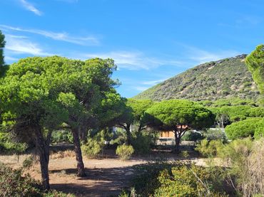 Rustikales Grundstück zum Verkauf in Los Caños de Meca