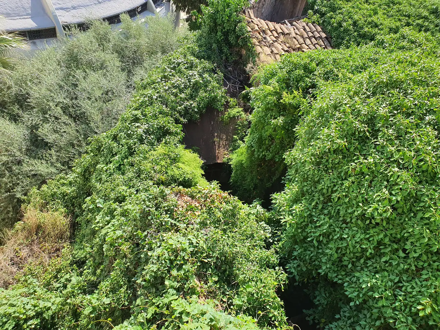 Garten von Haus oder Chalet zum Verkauf in Borriol mit Privatgarten, Terrasse und Balkon
