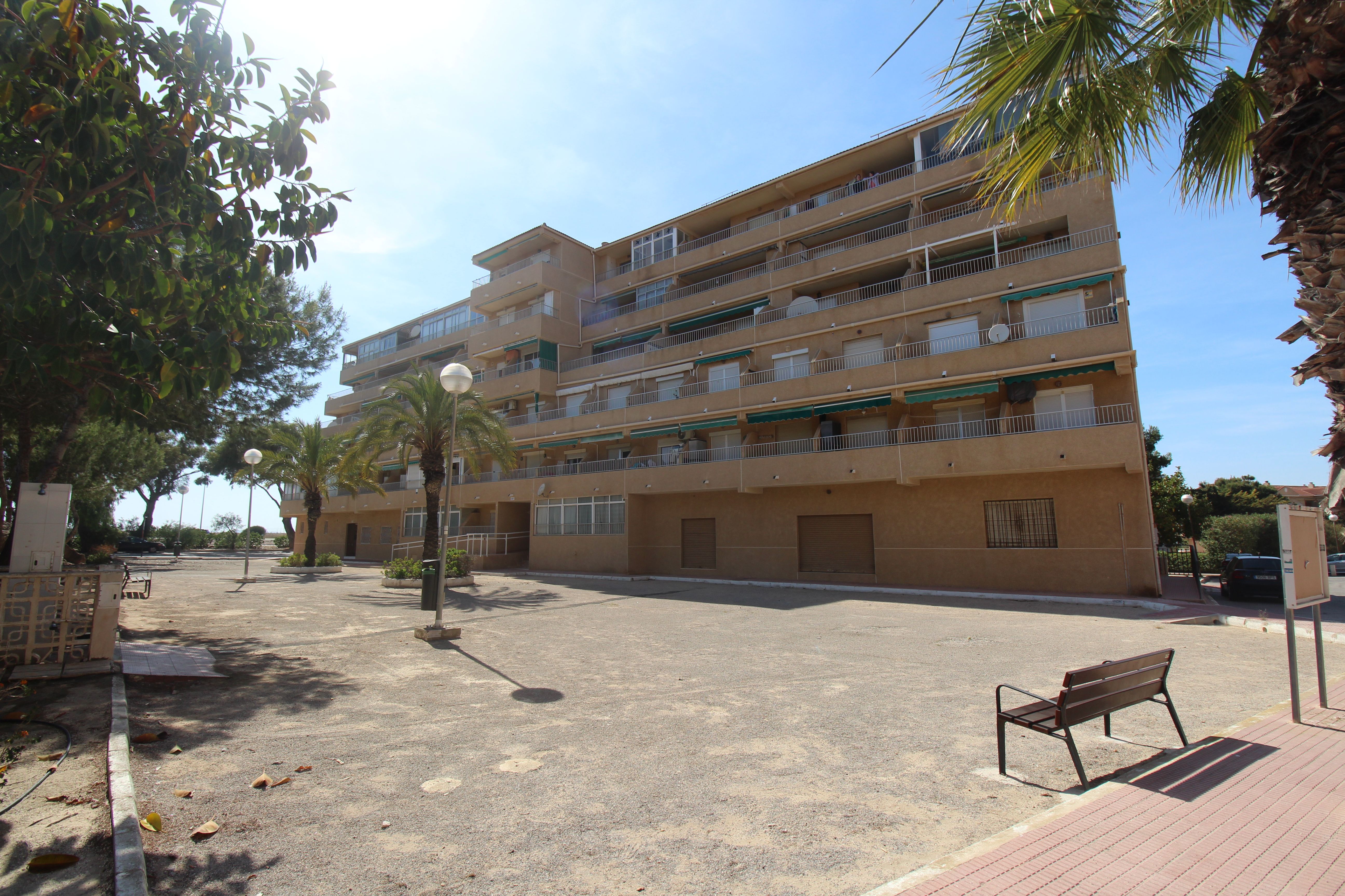 Vista exterior de Apartament en venda en Guardamar del Segura amb Terrassa, Moblat i Rentadora