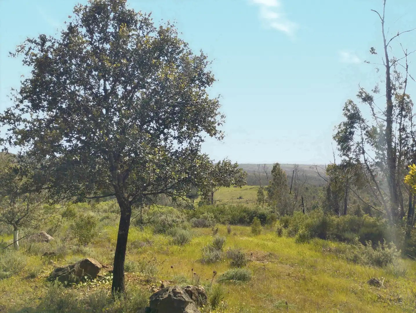 Country homes for sale in El Campillo (Huelva)  with Terrace and Furnished