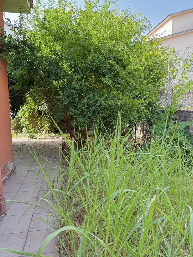 Vista exterior de Casa o chalet en venta en Lliçà de Vall con Calefacción y Terraza