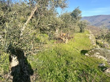 Terreno rustico in vendita a El Torno