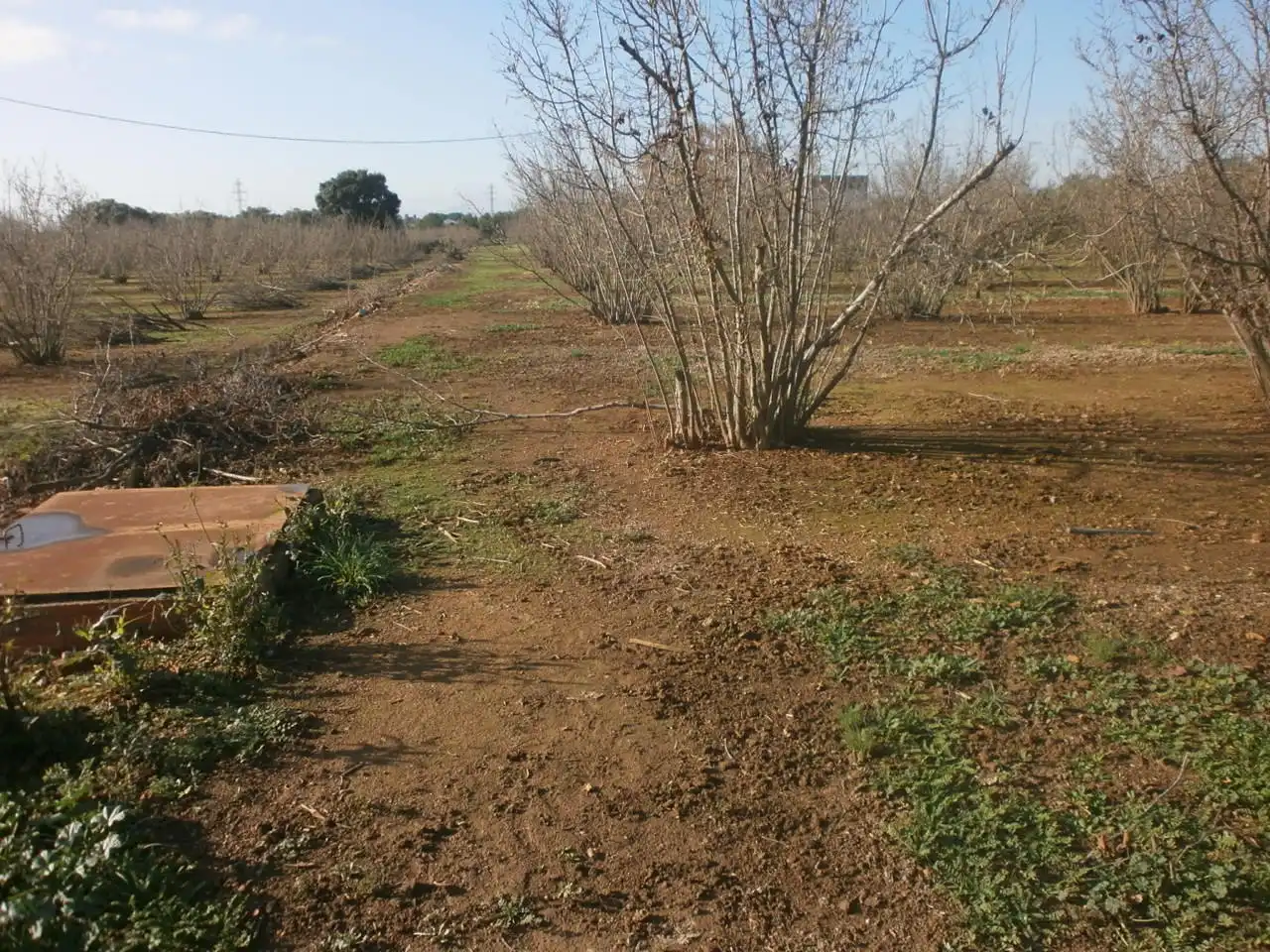 Rural land for sale in Mestral, imagen 7