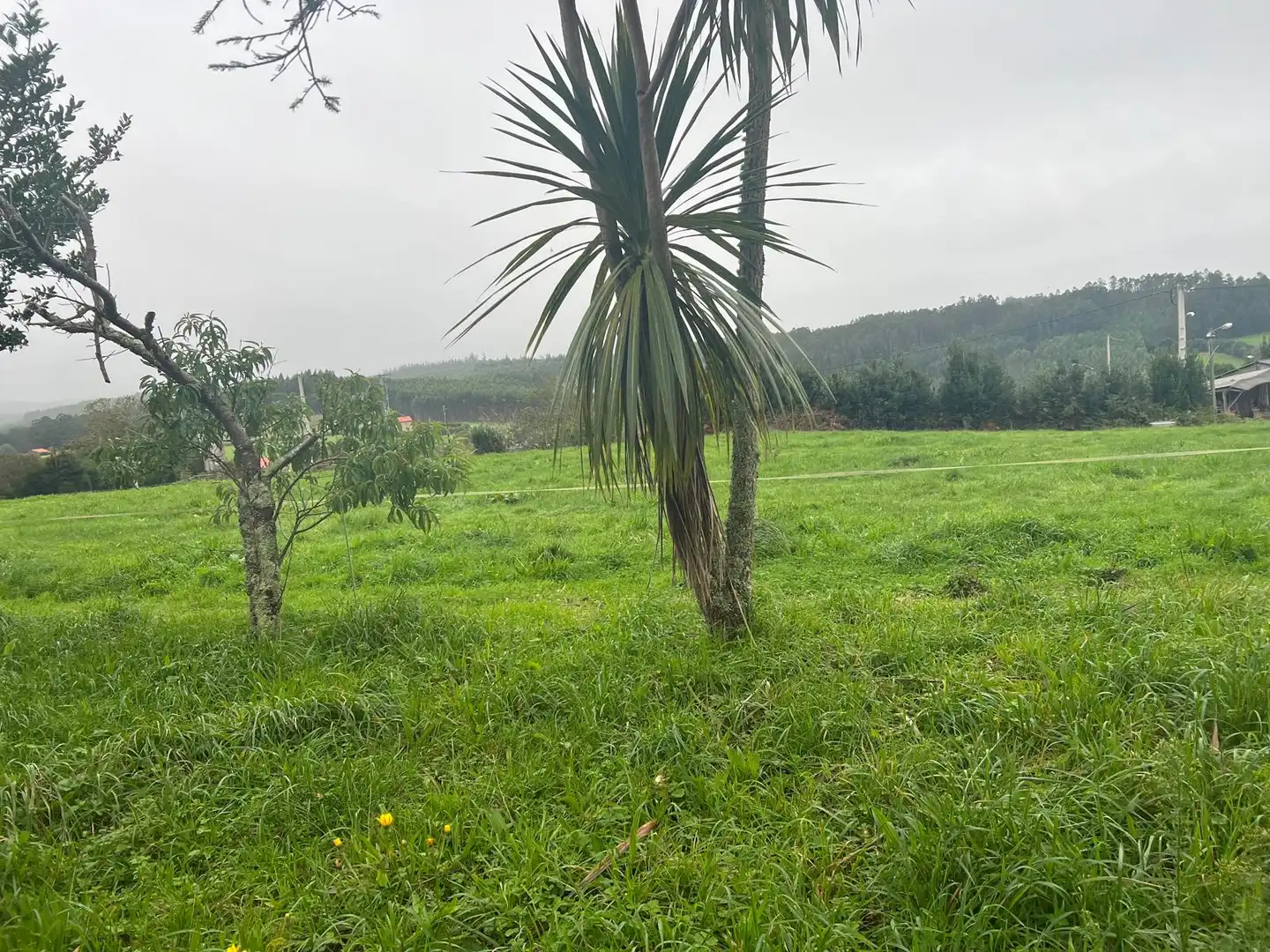 House with garden for sale in Lugar Castrelo, imagen 4