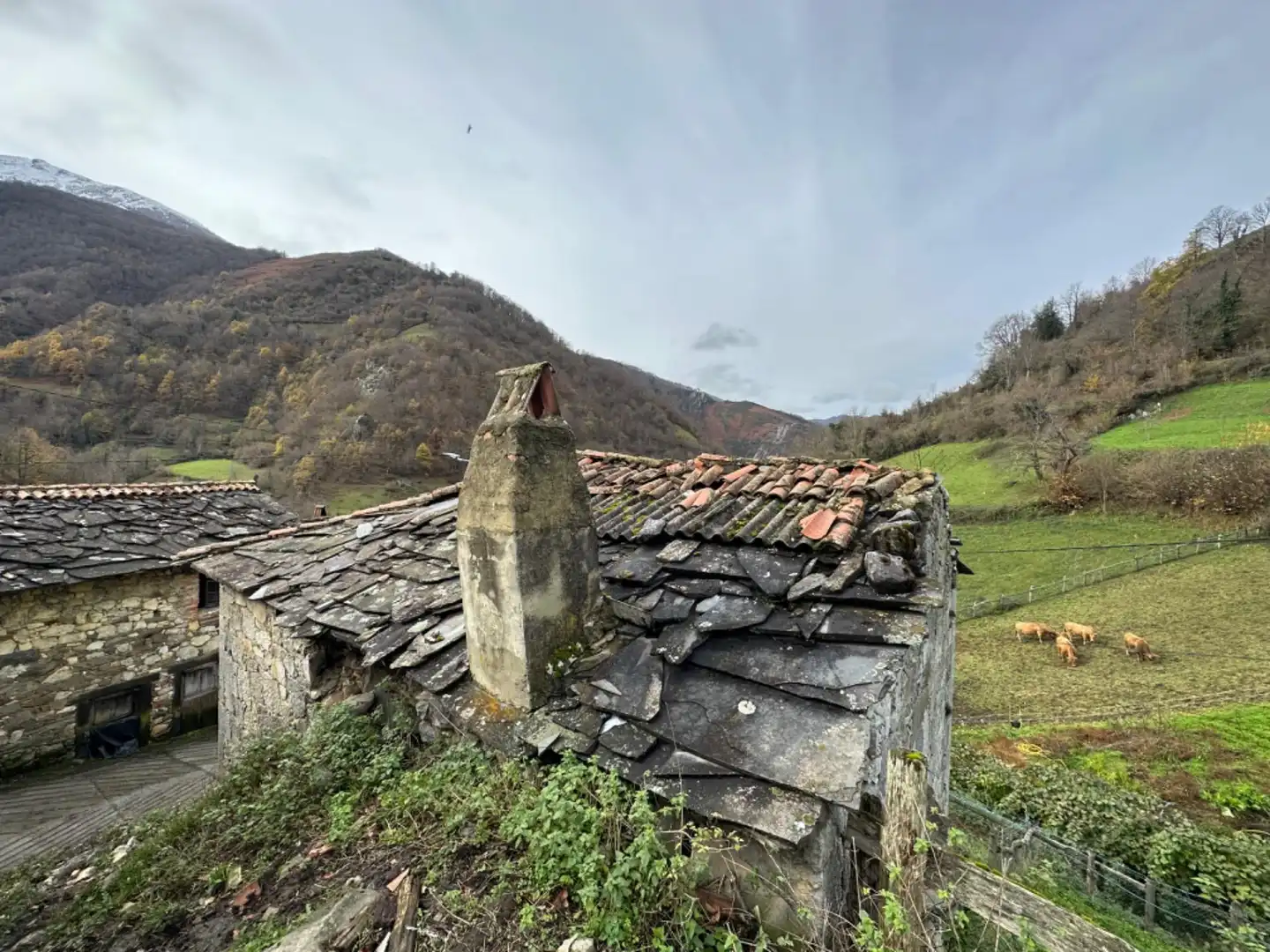 Haus zum Verkauf in CASOMERA, imagen 8