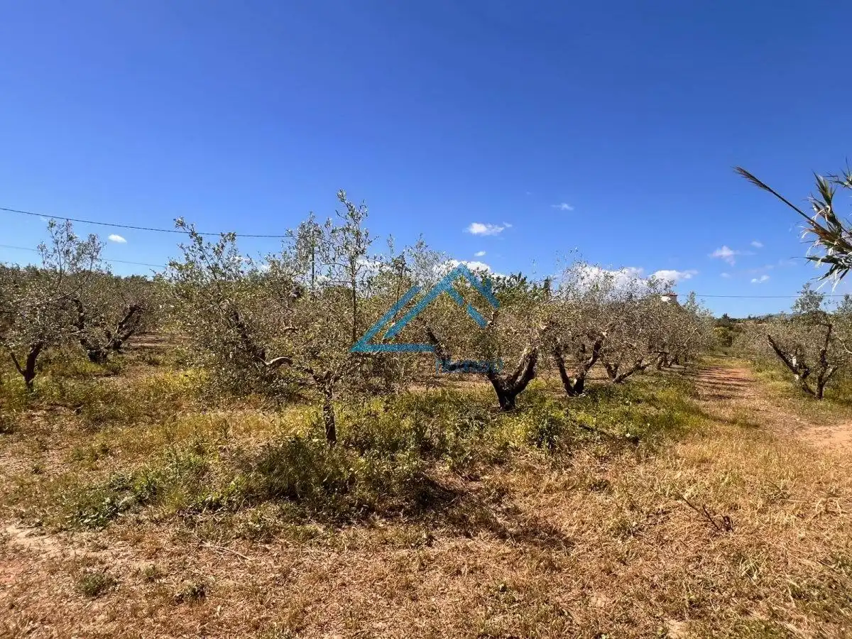 Land for sale in Vinyols i els Arcs