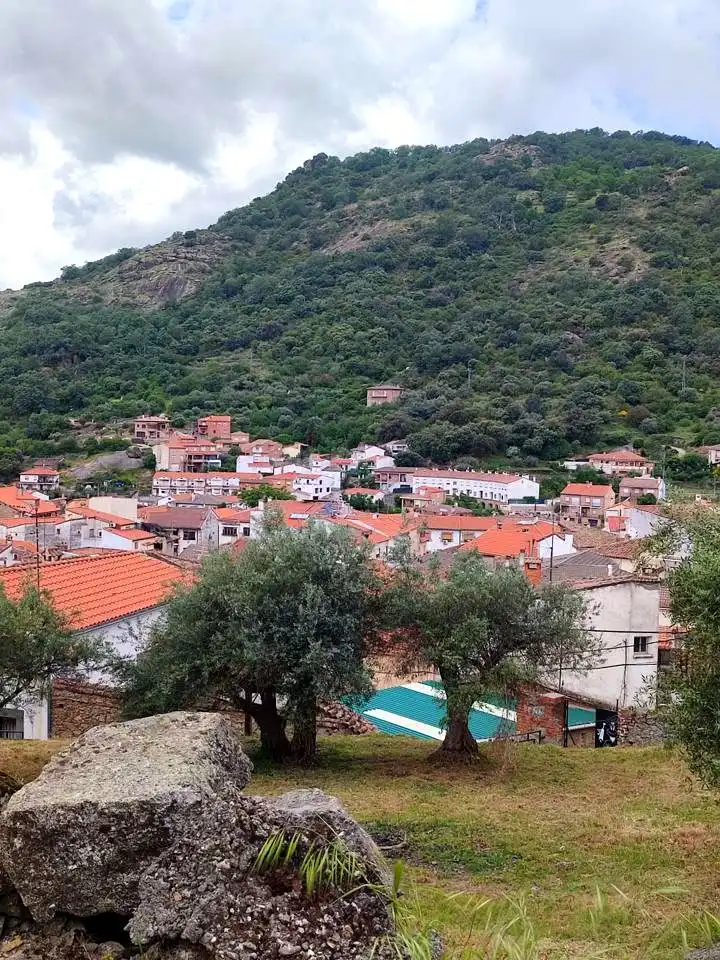 Exterior view of Houses for sale in El Real de San Vicente