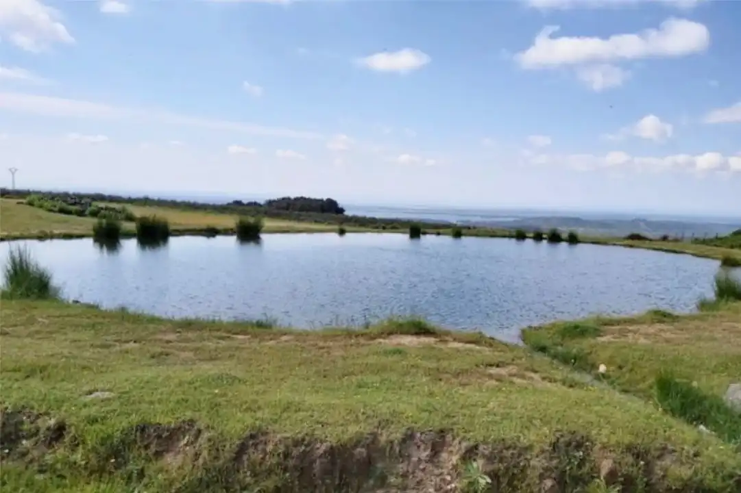 Land for sale in Hervencias