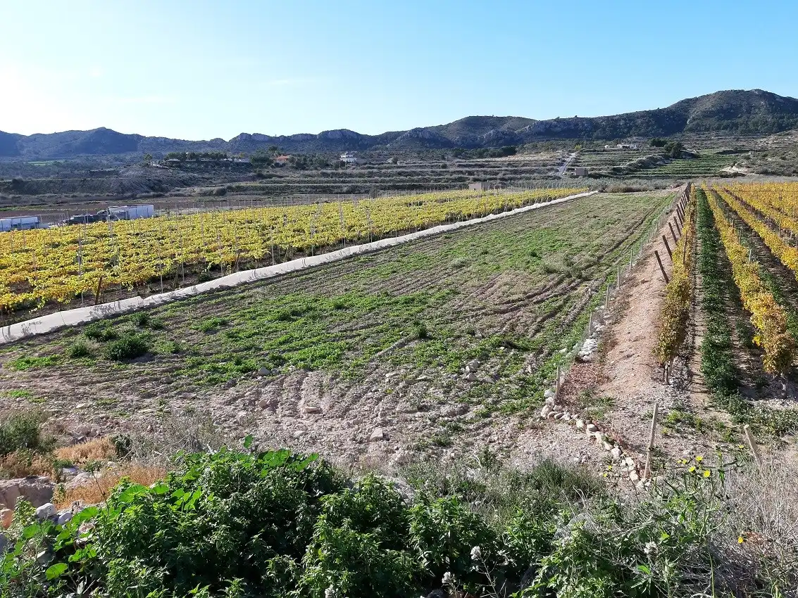 Terreny rústic en venda a Paraje Horna Baja, imagen 6