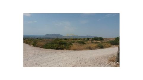 Terreno Venta Albatera, immagine 5