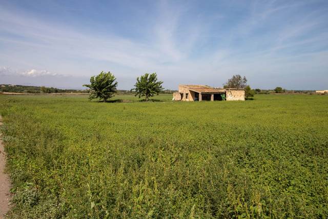 Terreno en Venta en Petra