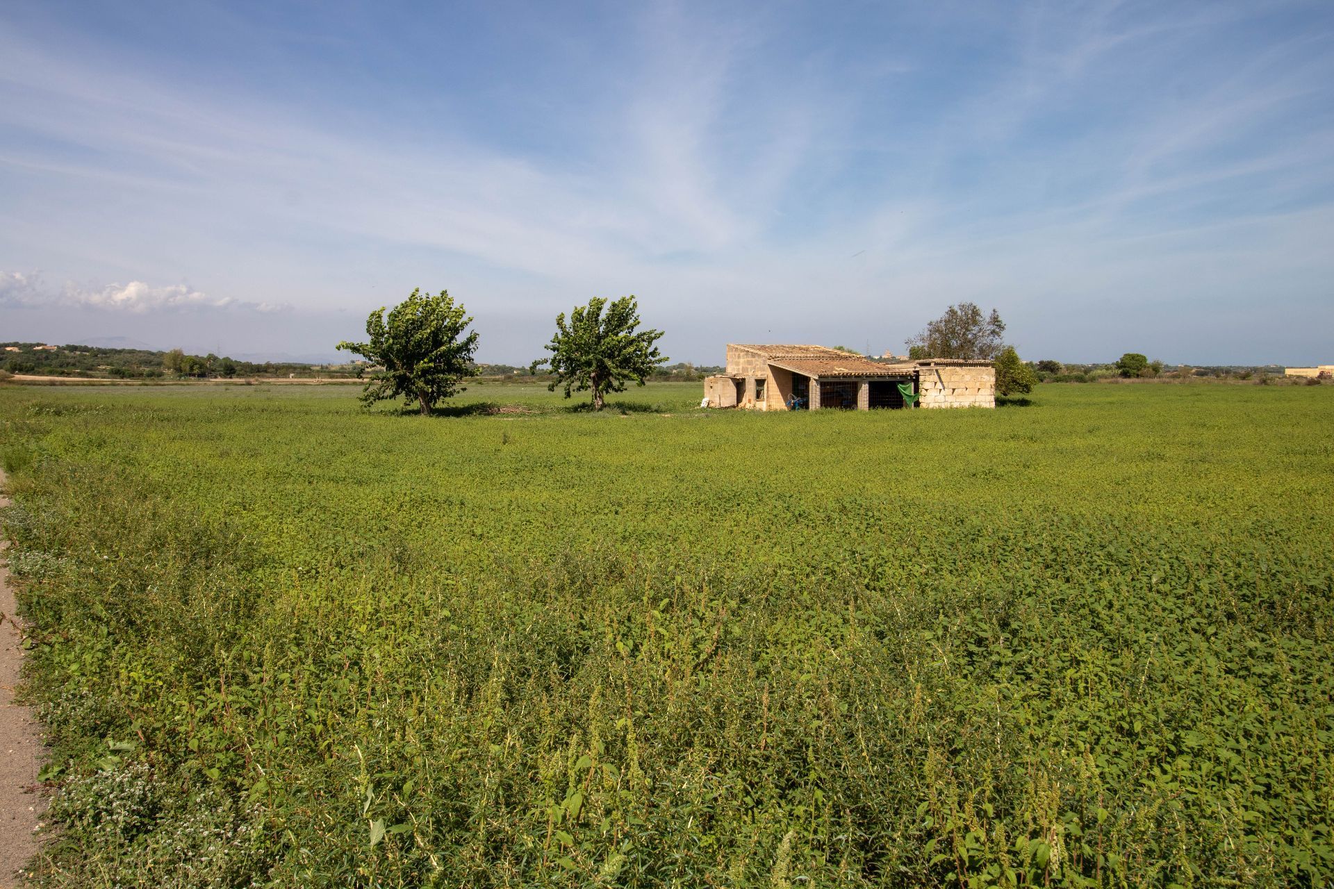 Land for sale in Petra