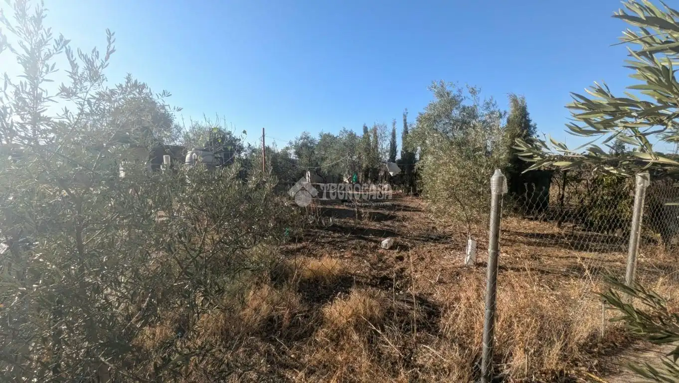 Casa rústica en venta en Morón de la Frontera, imagen 13