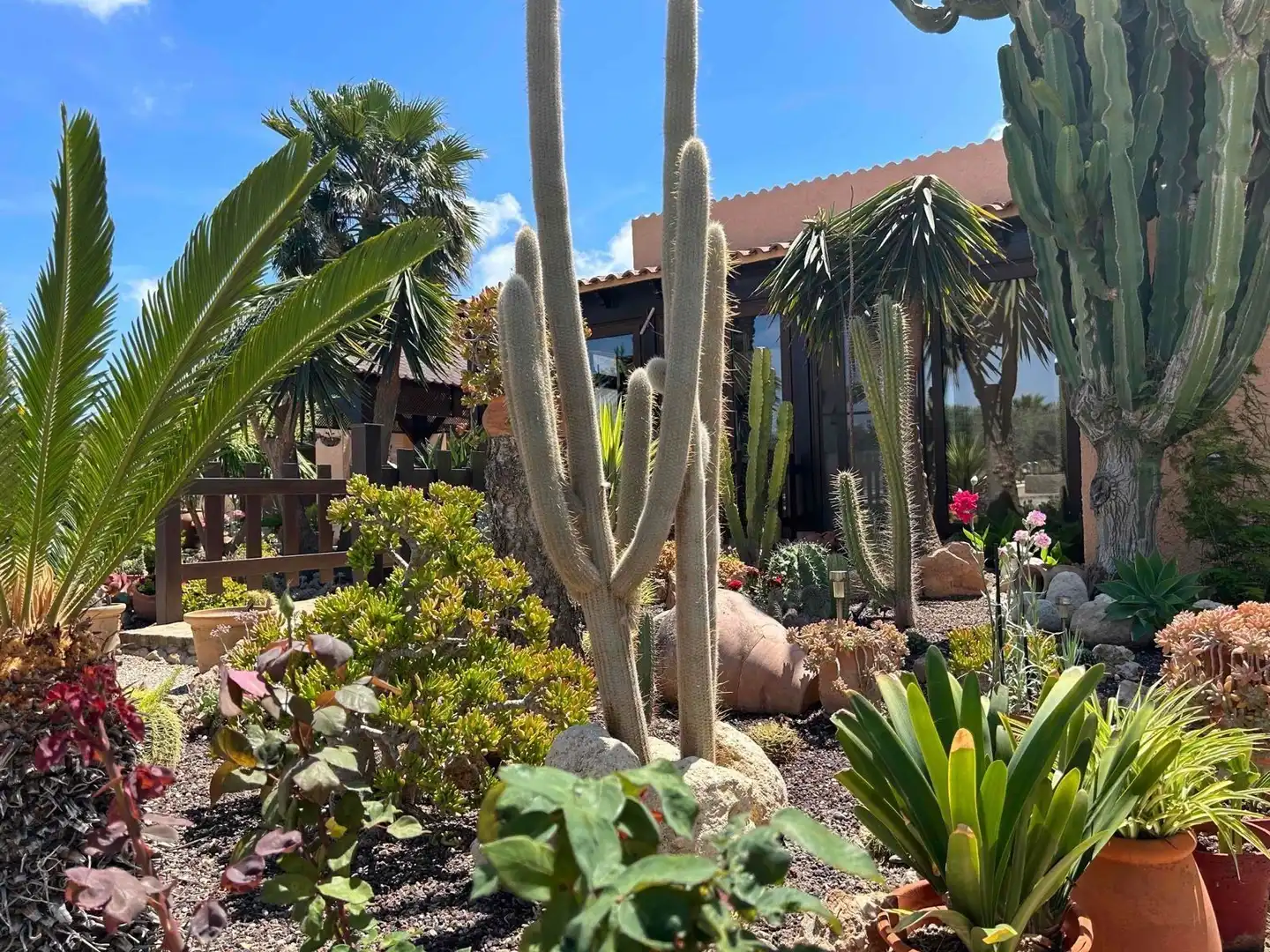 Jardín de Casa o chalet en venta en Mojácar con Aire acondicionado, Calefacción y Jardín privado