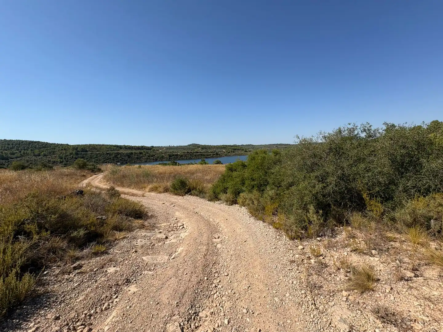 Terreno rustico in vendita a Cervià de Les Garrigues, imagen 31