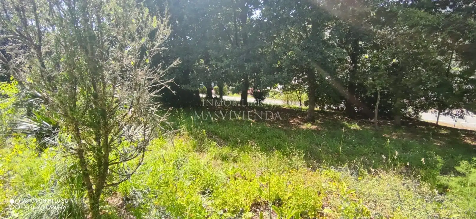 Casa con jardín en venta en Del Val, imagen 45
