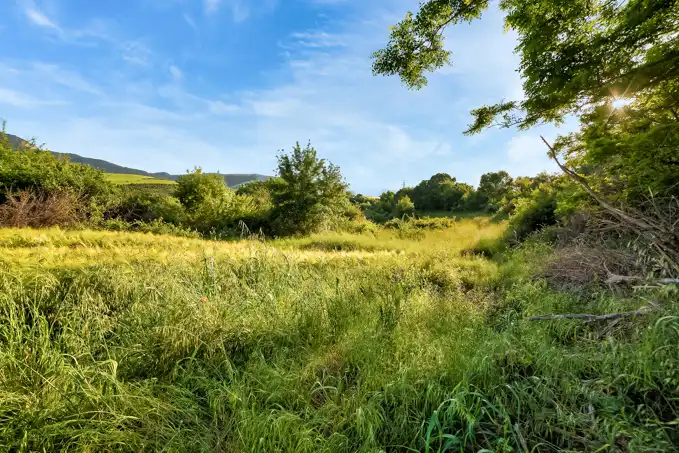 Land for sale in Jaca