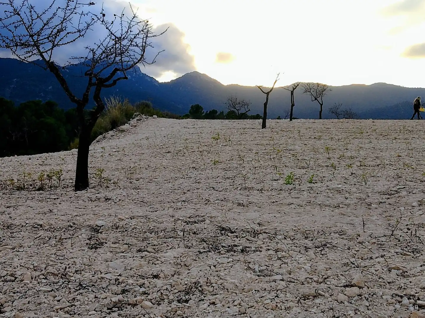 Terreno rustico in vendita a N/A, imagen 13