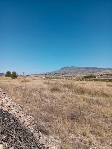 Terreno residencial en Venta en Jumilla