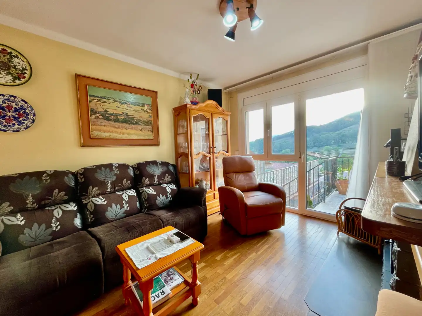 Sala de estar de Casa o chalet en venta en Sant Pau de Segúries con Aire acondicionado, Jardín privado y Terraza