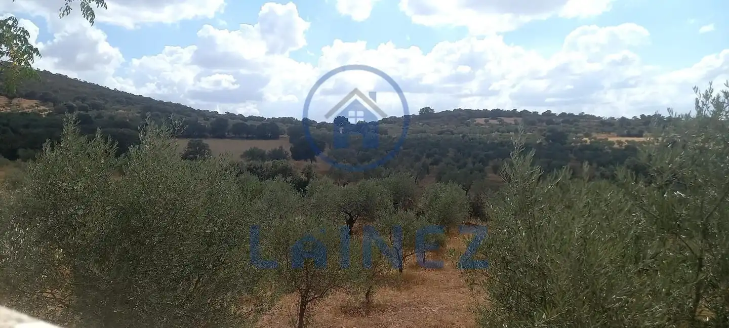 Wohnbaugrundstück zum Verkauf in La Granjuela, imagen 33