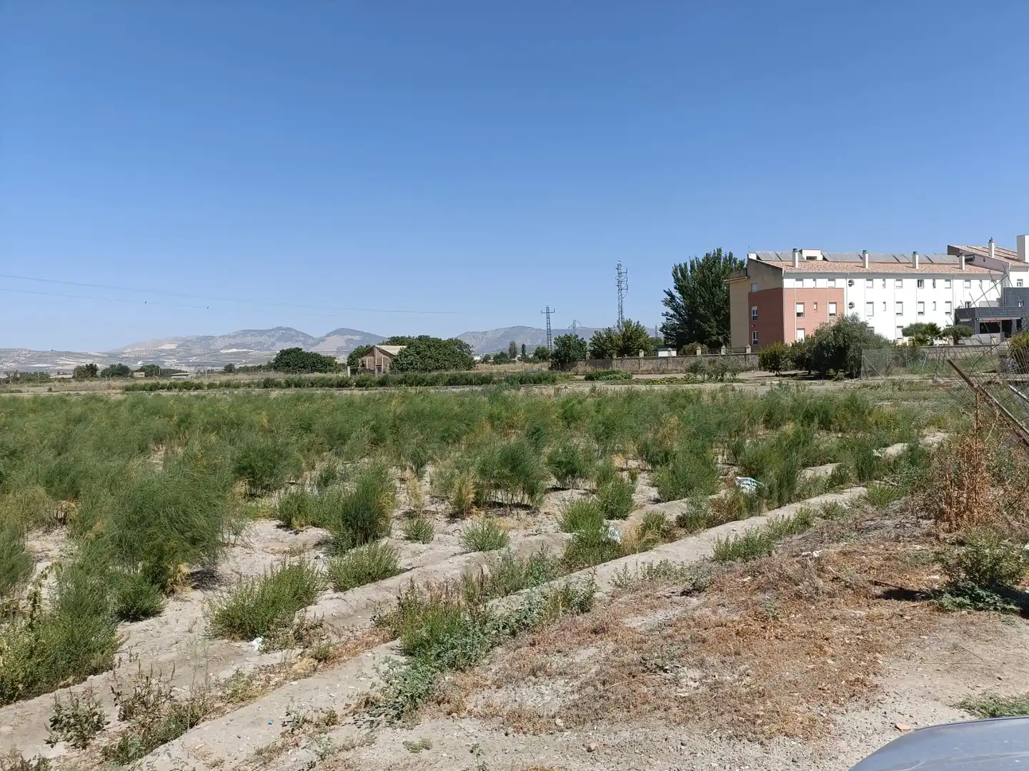 Terreno rústico en venta en Desconocido Gr-3401 de a-92 a Estacion de Illora, imagen 3