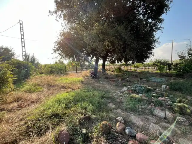 Terreno rustico in vendita a Este, imagen 5