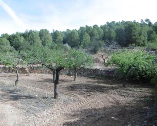 Land for sale in Sierra Engarcerán