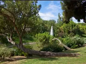 Garten von Geschaftsraum zum Verkauf in Madrid