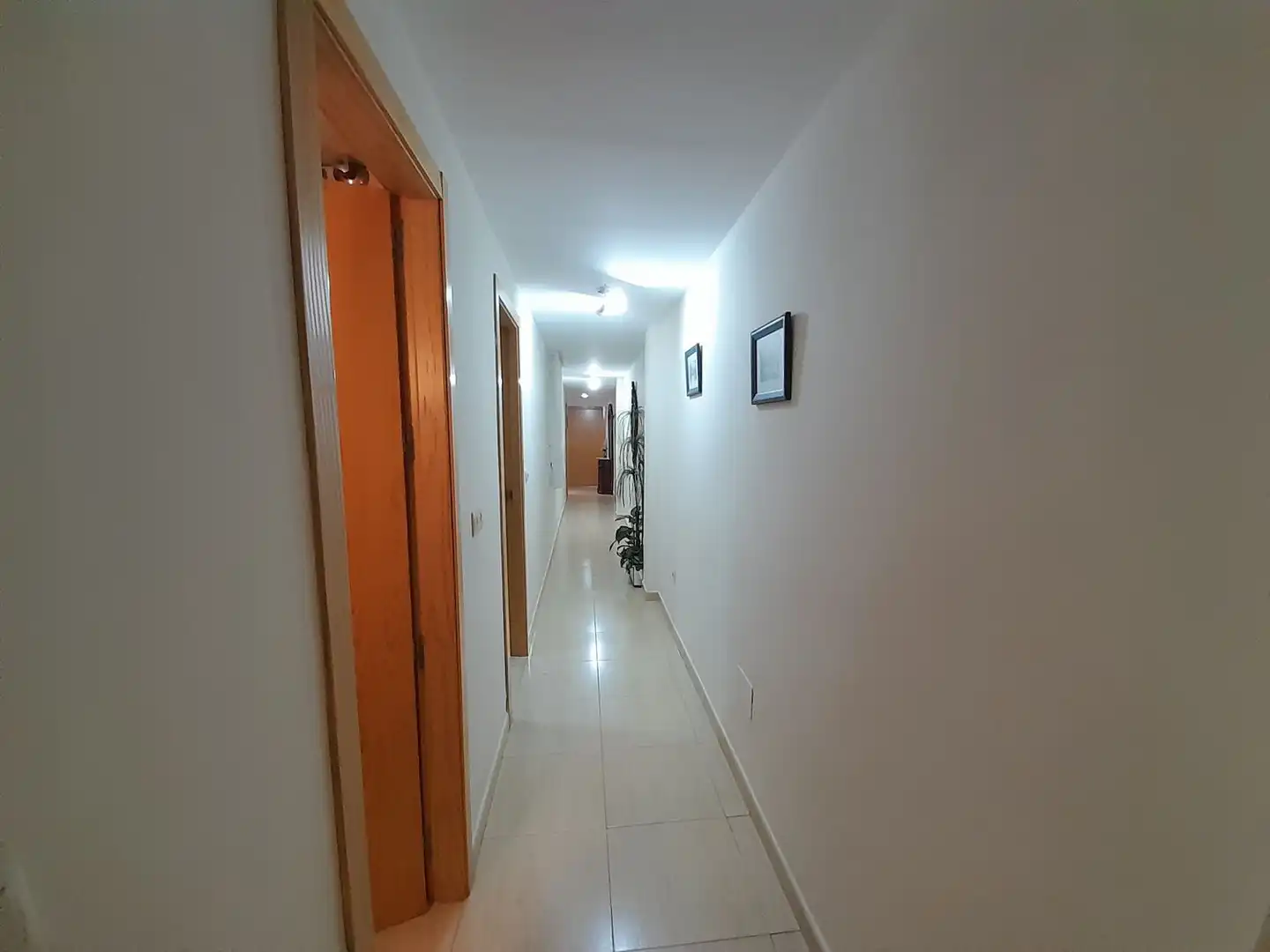 Flat with terrace to rent in Ctra. Circunvalación - La Magdalena, imagen 15