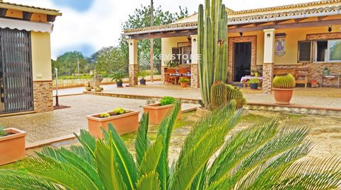 Foto 4 de Finca rústica en venda a De Alicantí, Llucmajor pueblo, Llucmajor