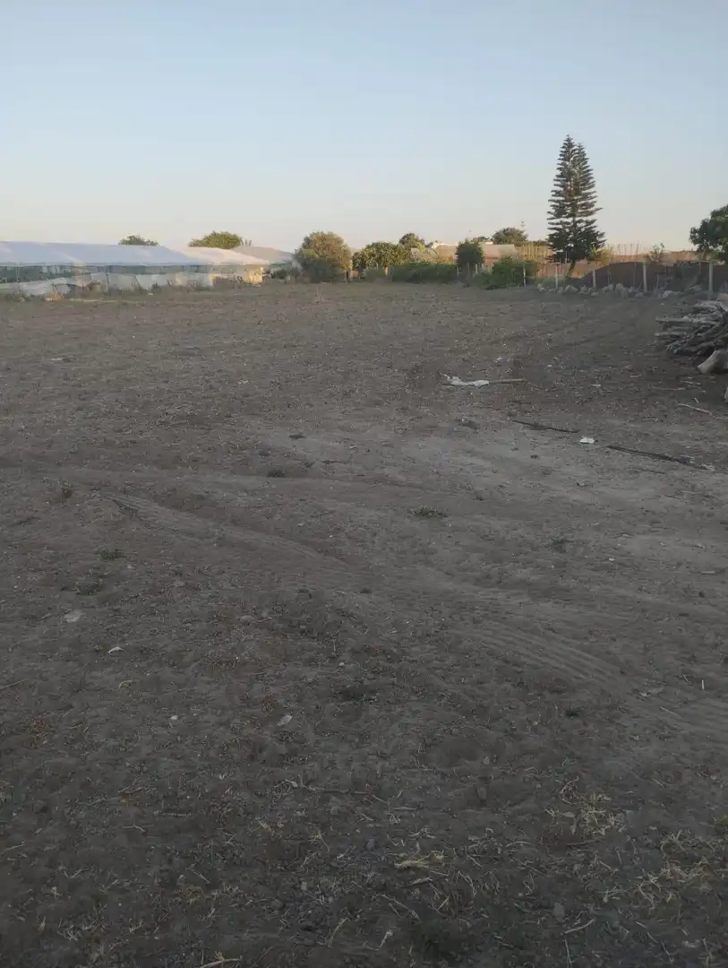 Terreni e lotti in vendita a Chipiona Norte, imagen 5