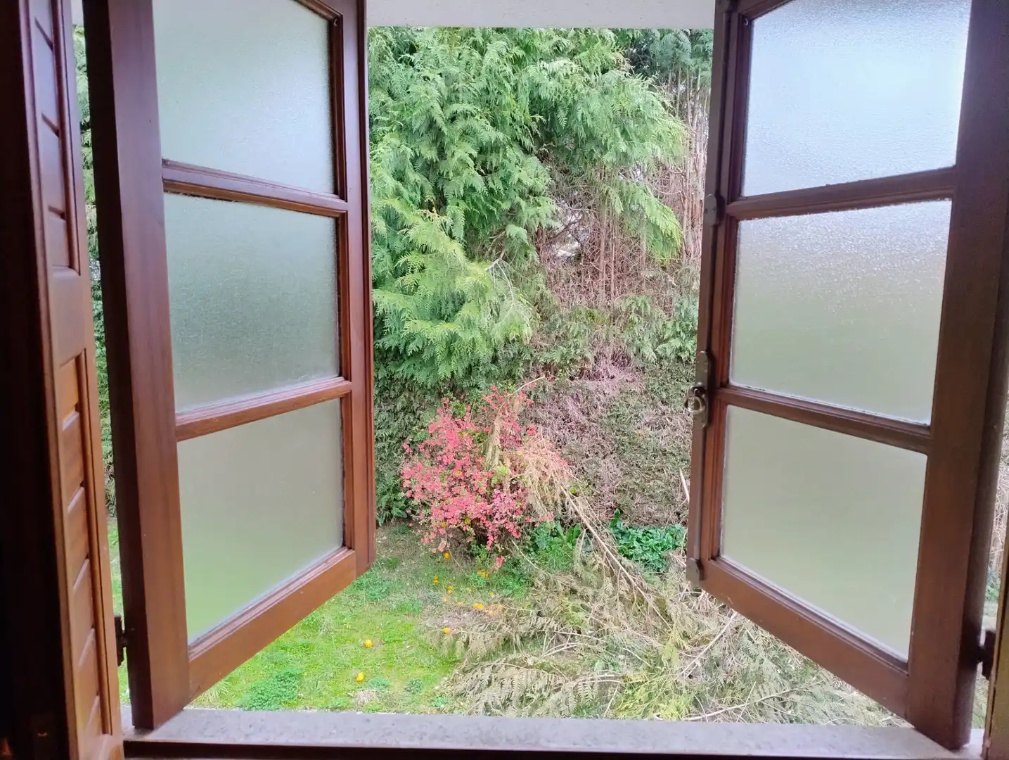Jardín de Casa o chalet en venta en Lugo con Amueblado