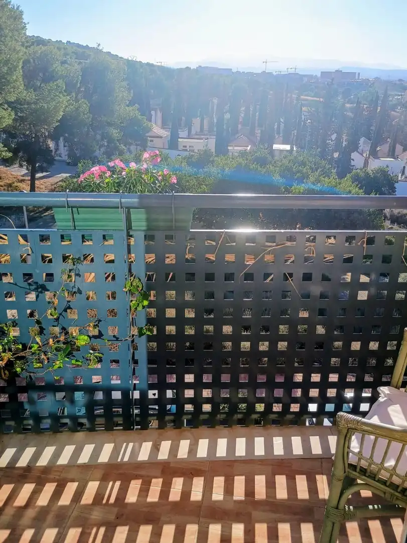 Appartement avec ascenseur à louer à CARRETAS 33, imagen 26